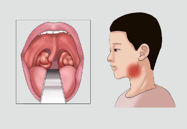 摄生调度的办法：从入门到进阶，打造健康日子